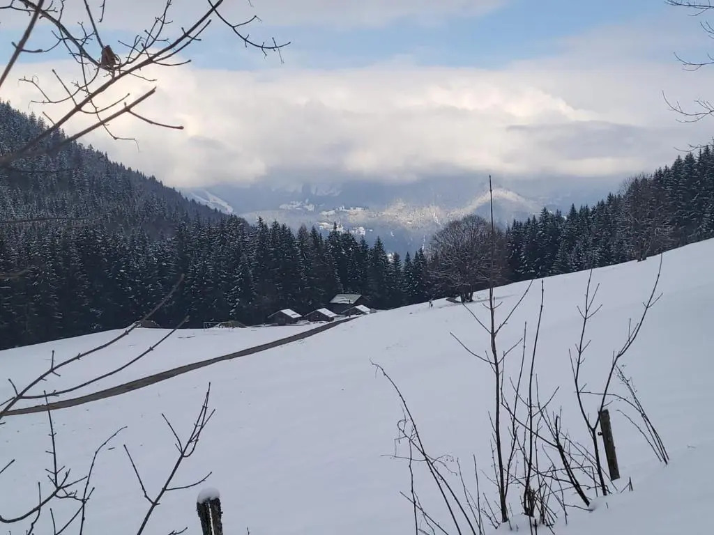 Panorama, Appartement 34, Torgon Schweiz