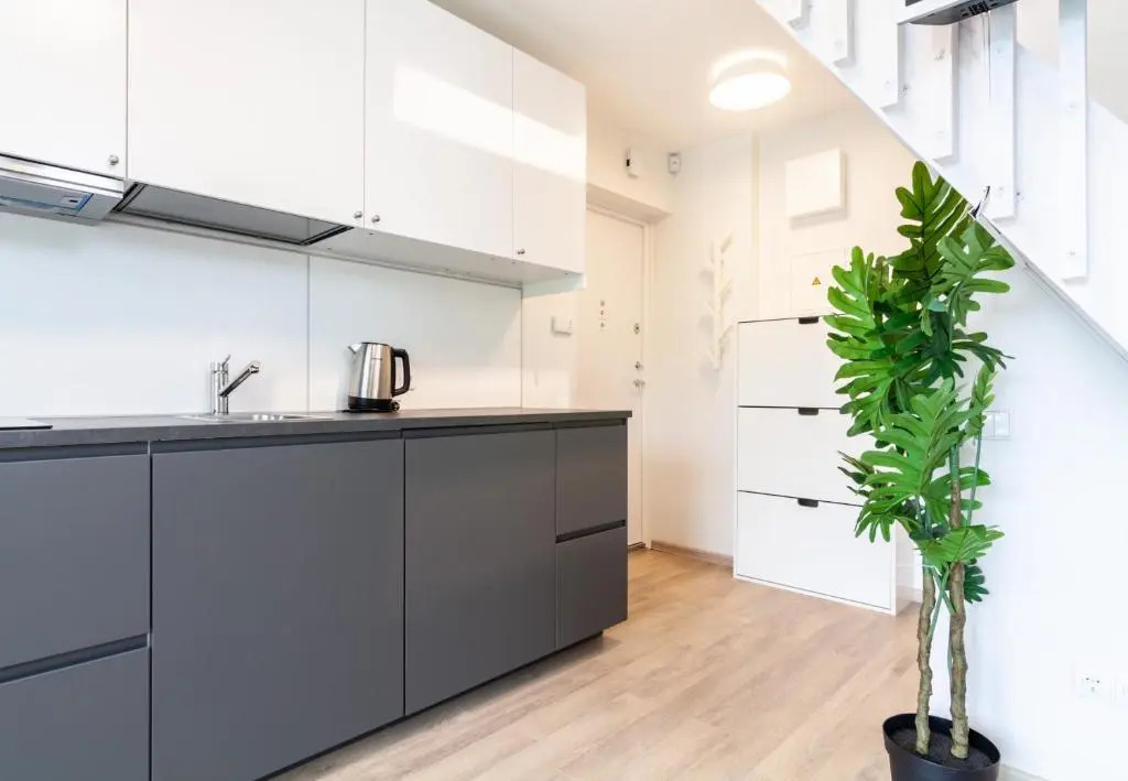 Green Shine Apartment, By Cohost