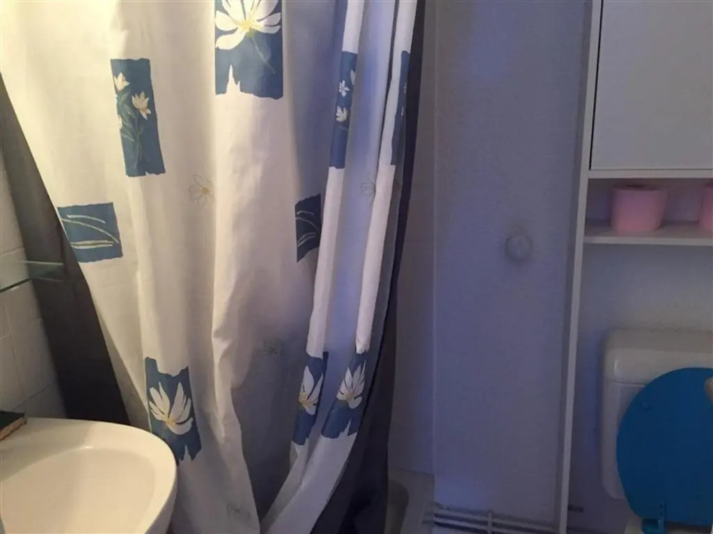 Appartement Mont-Dore, 2 pièces, 4 personnes - FR-1-415-17