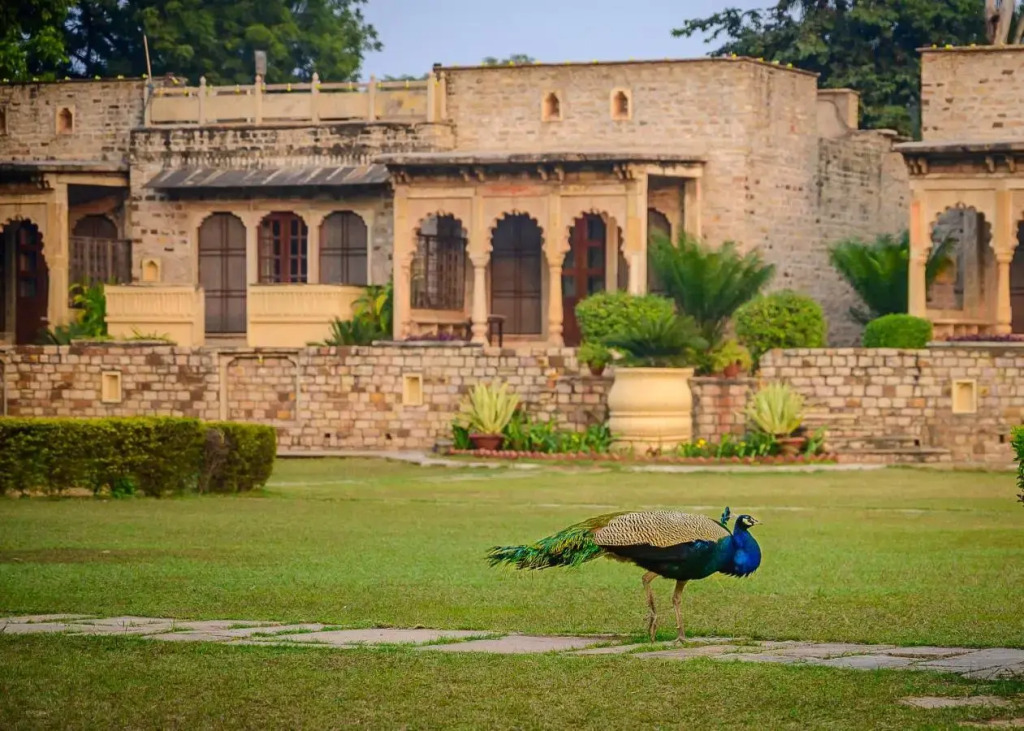 Neemrana'S - Deo Bagh