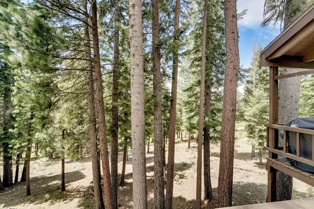 1 Mi to Northstar Skiing: Cozy Mtn Condo