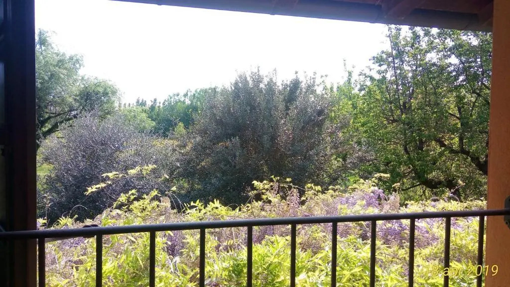 Fienile FICO Fiera