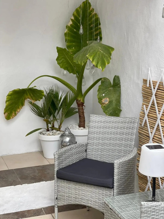 Casa Dolly Boutique B&B