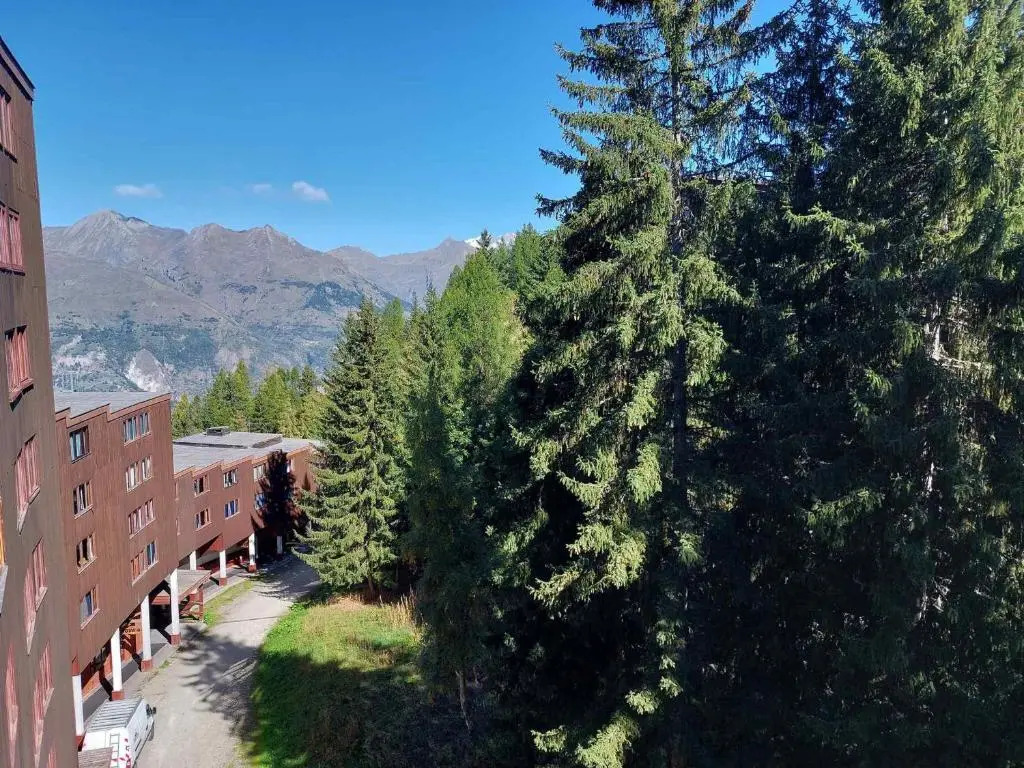 Appartement Les Arcs 1800, 1 pièce, 2 personnes - FR-1-411-293