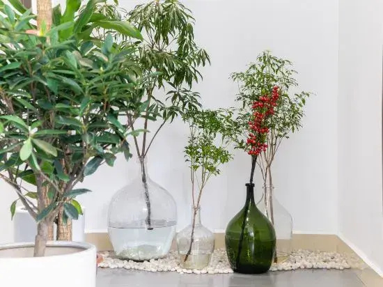 Sanya Dajishu Homestay (Haitang Bay Duty Free City Shop)