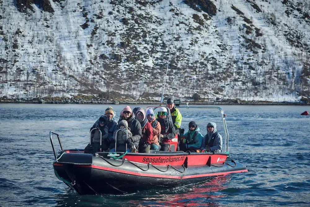 Senja Fjordcamp