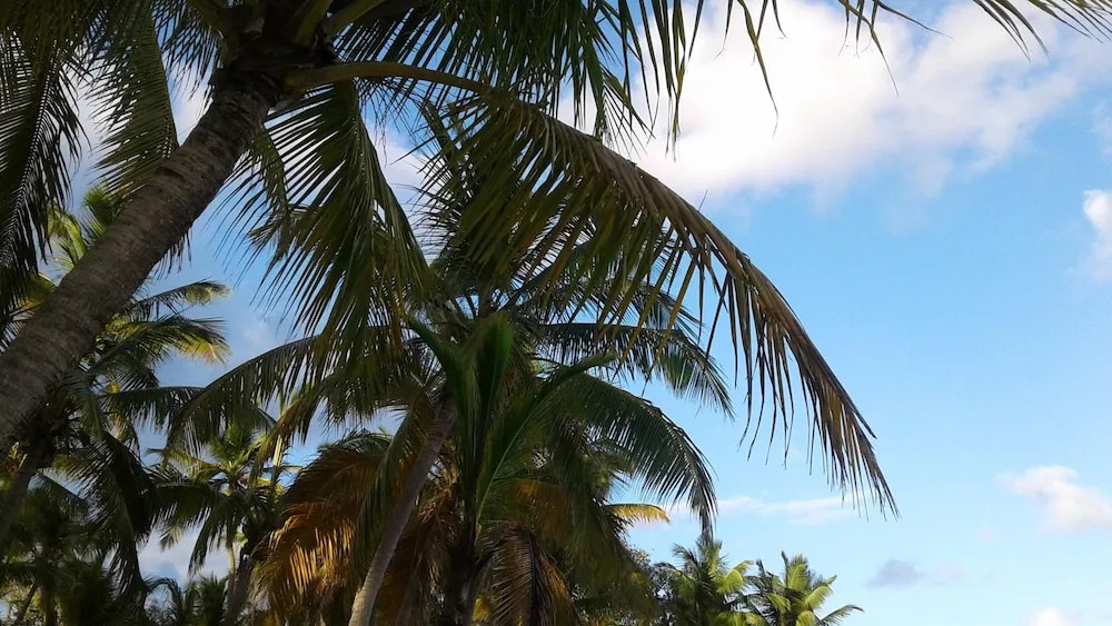 Apartment With one Bedroom in Saint-françois, With Wonderful sea View,