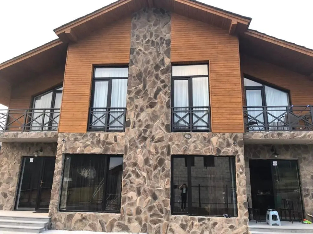 Bakuriani Cozy Villa #4
