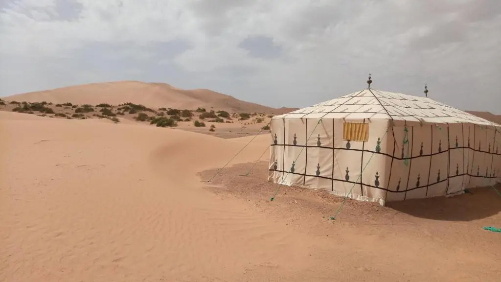 Night Desert Camp