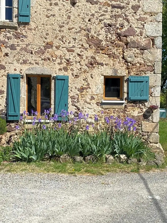 Bachellerie