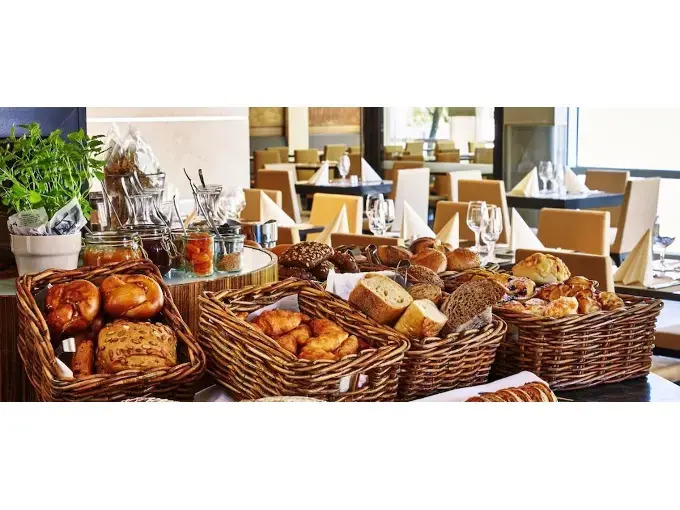 Hotel Paun