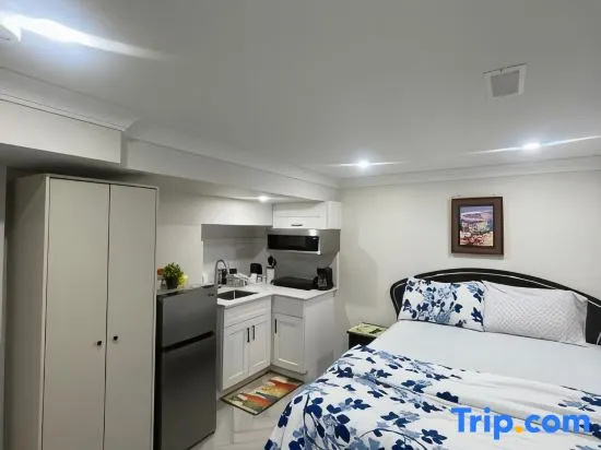 Toronto Luxury Basement-Private Bdr & Bath