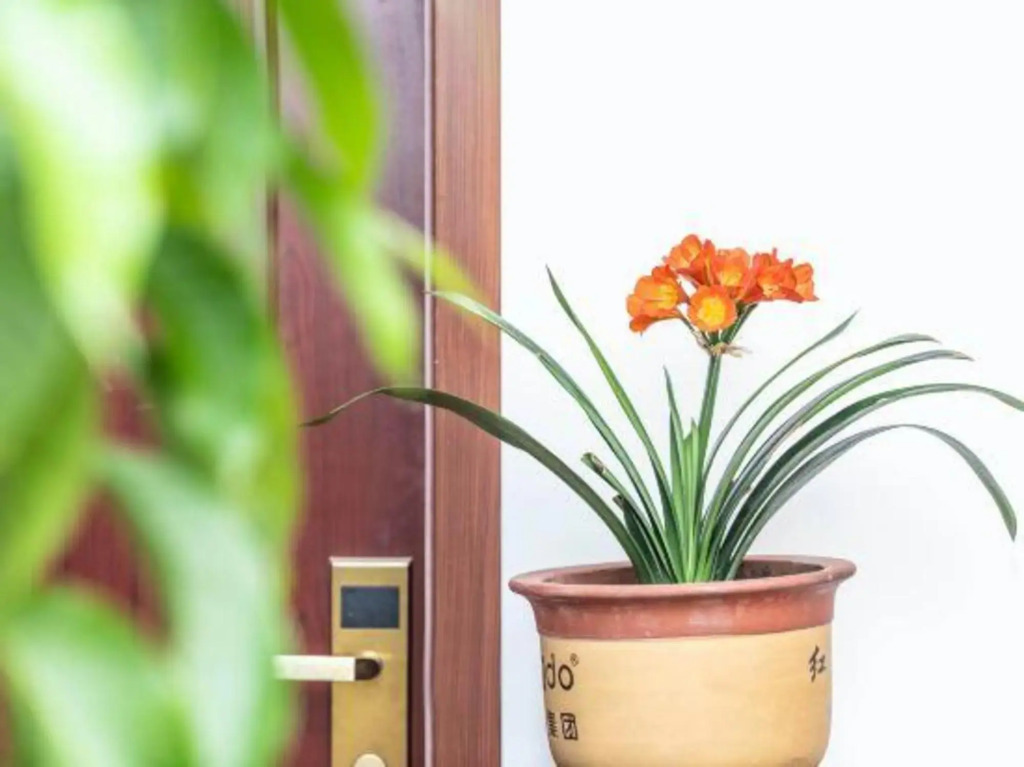 Tongli Defu Caotang Boutique Hostel
