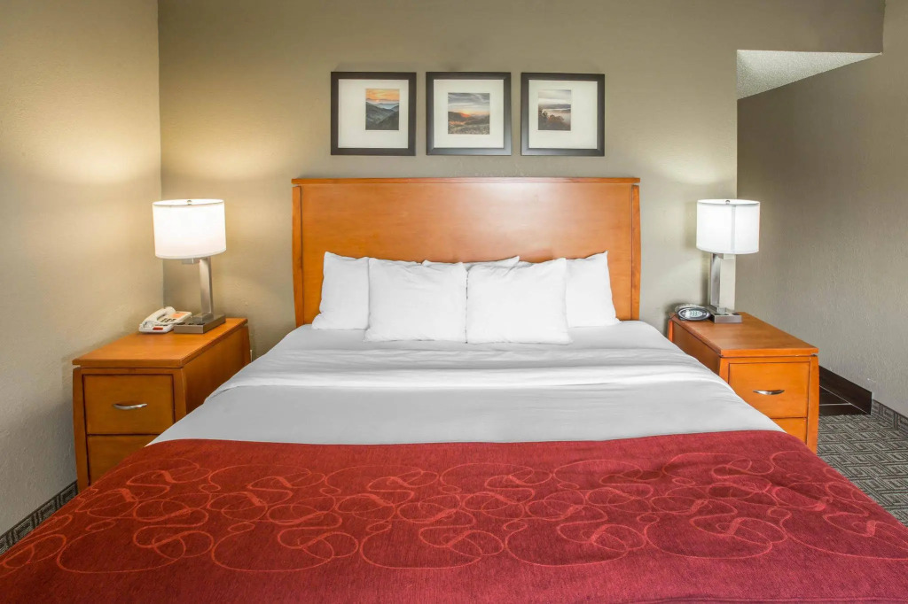 Vista Suites Near Island and Leconte Convention Center