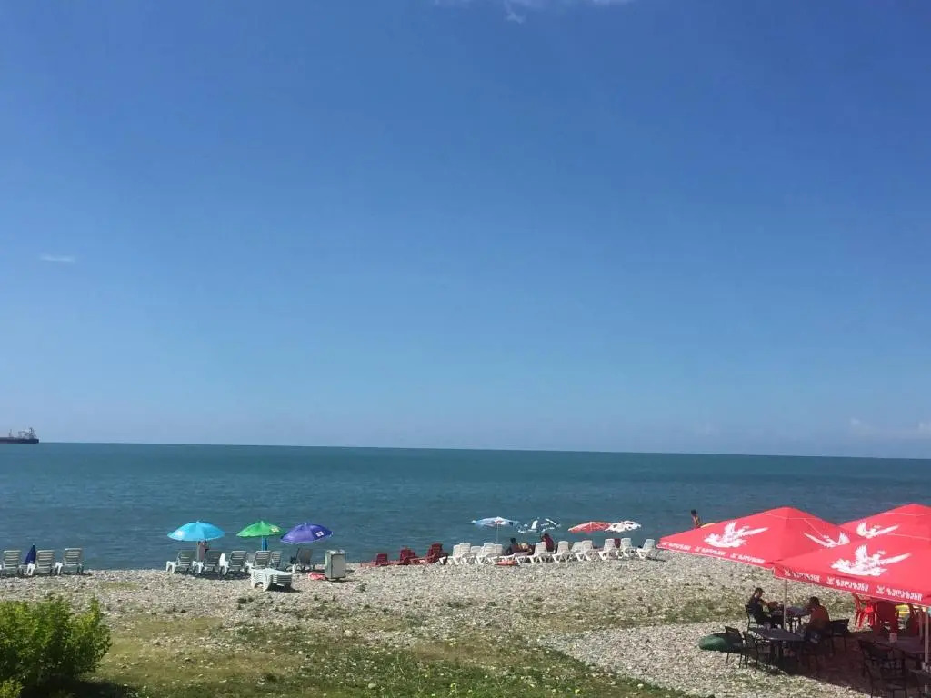 2-х комнатная квартира на берегу моря Колхида
