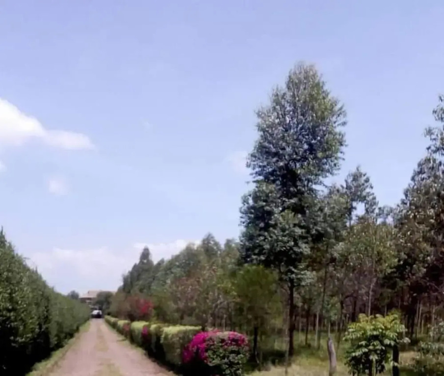 Lux Suites Marura Holiday Villa Nakuru