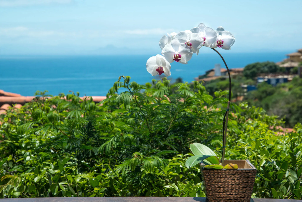 La Pedrera Small Hotel & Spa