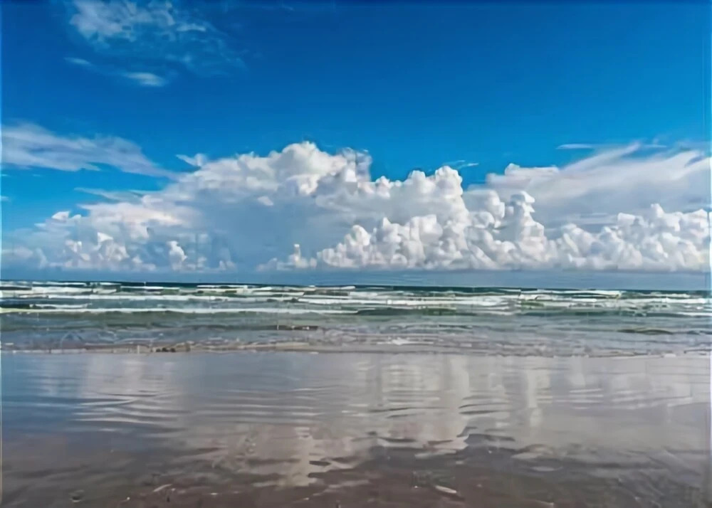 Tropical Comfort in Port Aransas by RedAwning