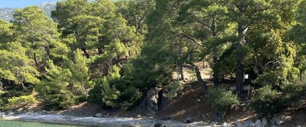 Gelidonya Pansiyon