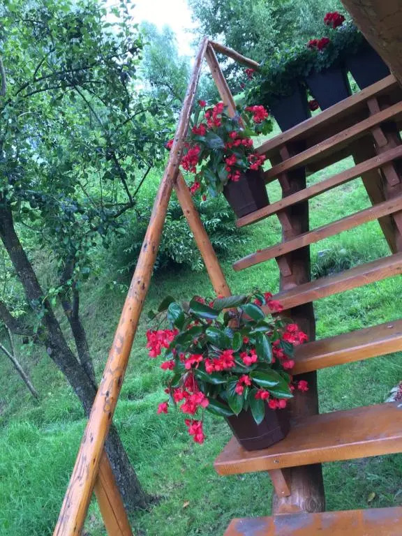 Domeniul Horj Casa din Cireș Moisei