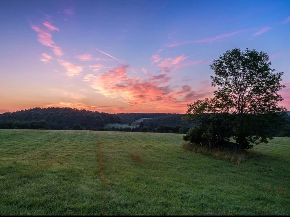 Tentrr - Orchardside Farm