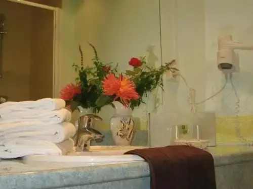 Logis Hotel Lange Couronne