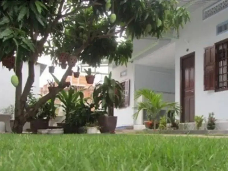 Xuan Anh Guesthouse