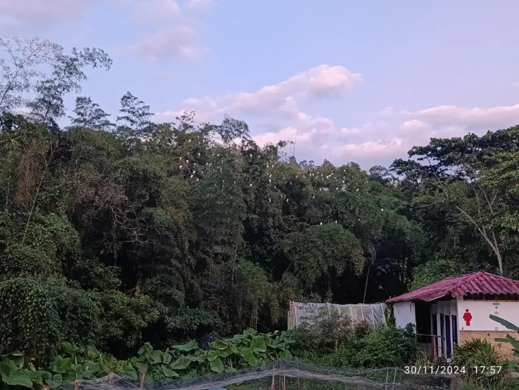 acualandiafish