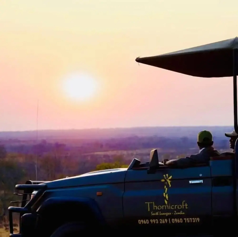 Thornicroft Lodge - South Luangwa