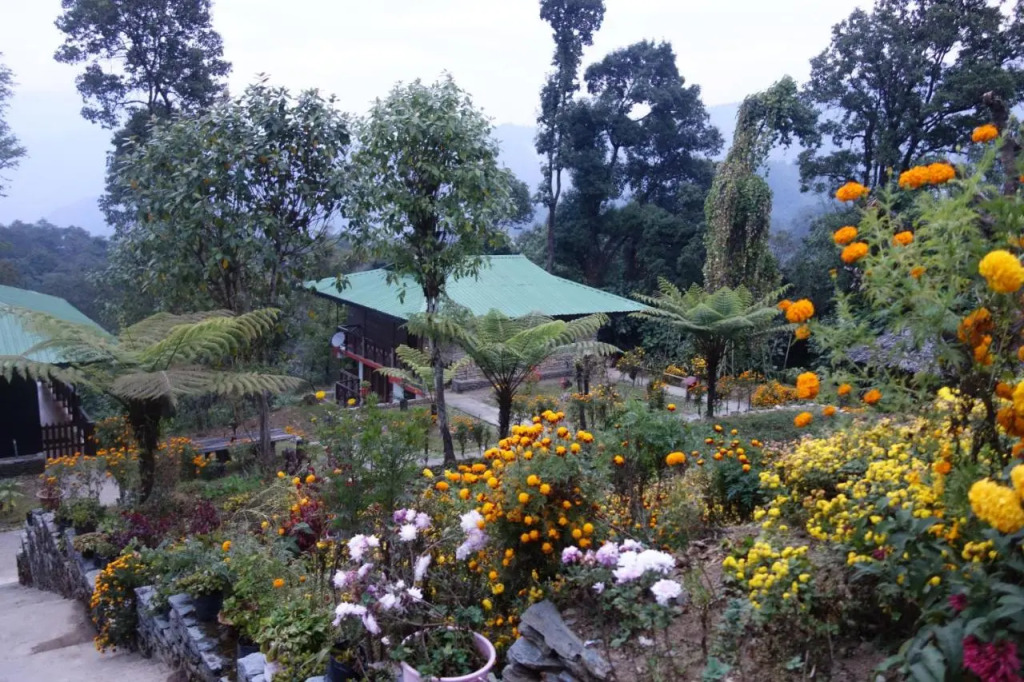 The Barfung Retreat