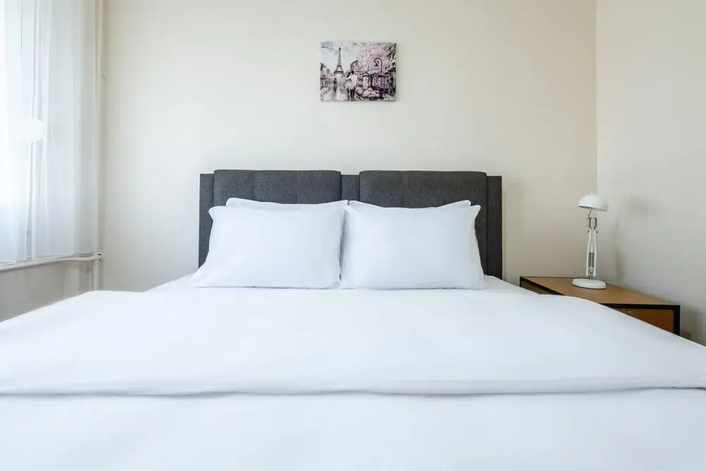 Cozy Flat Near Bagdat Street in Suadiye