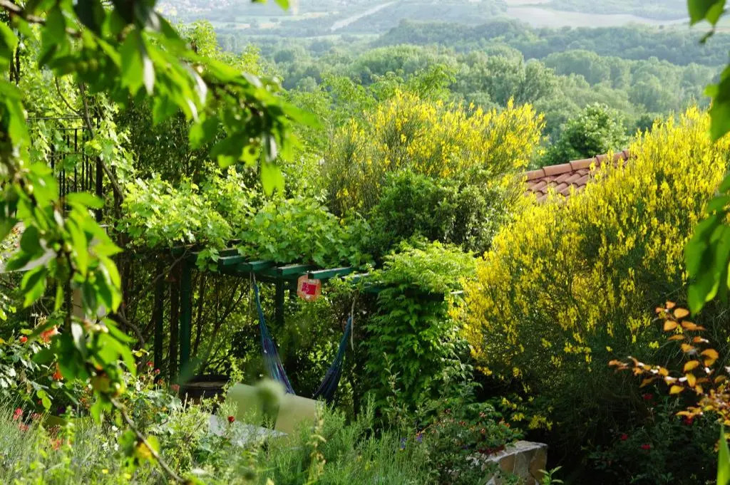 Le Balcon