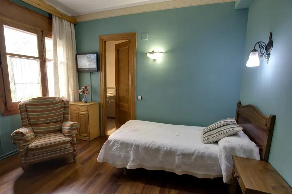 Hotel Avenida Benasque
