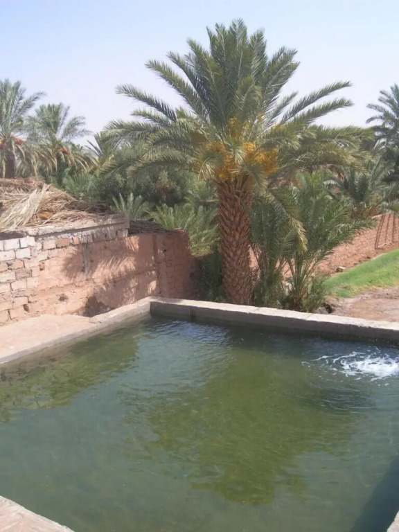 Camping Les Palmeraies - Oasis Escape Tagounite