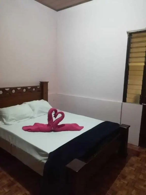 Blue Morpho - Hostel