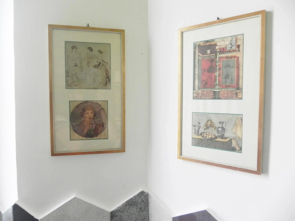 LINE-UP Apartment