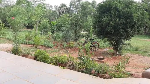 Lotus Garden Guest House