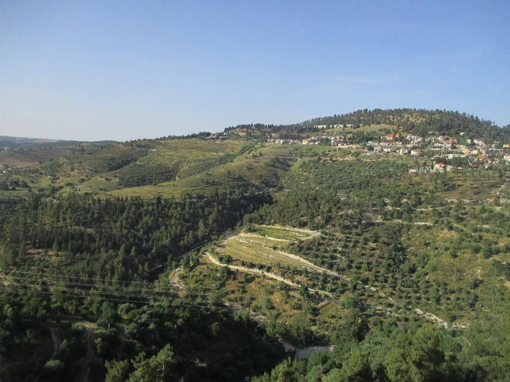 view haari