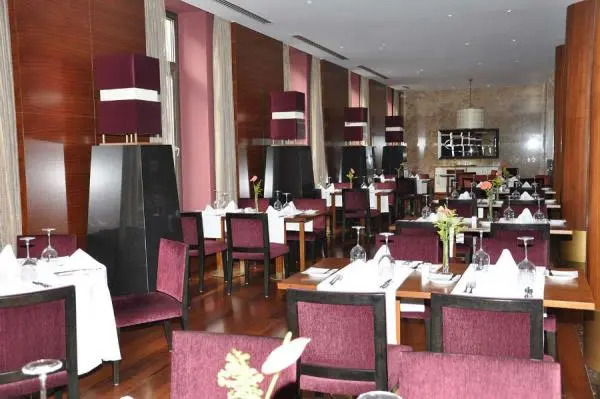 Celik Palas Hotel Bursa