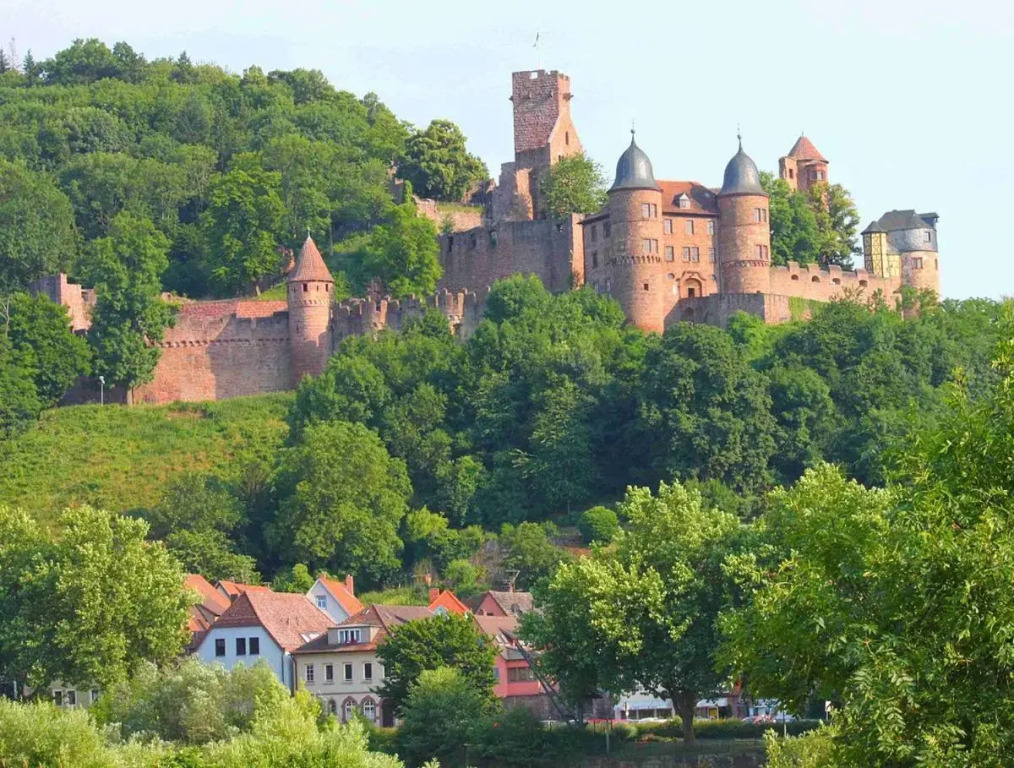 Ferienwohnung mit Aussicht auf die Burg