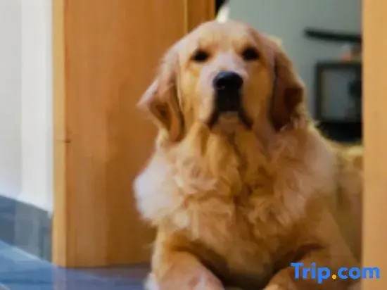 Town Shanshui Memory Homestay