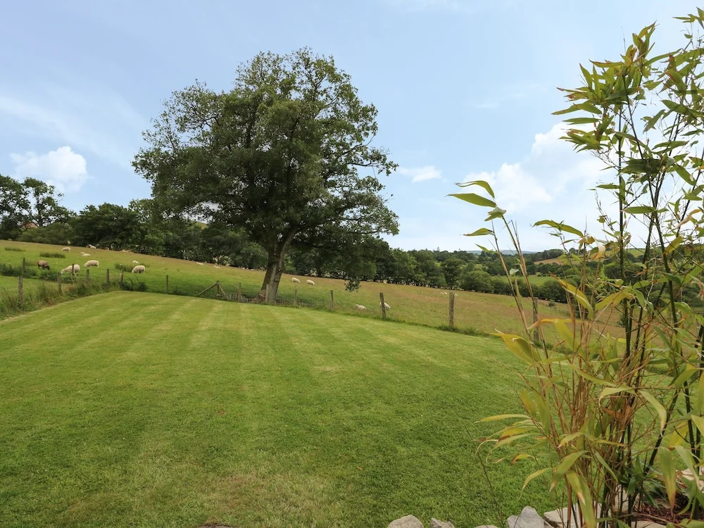 Pheasant Wood