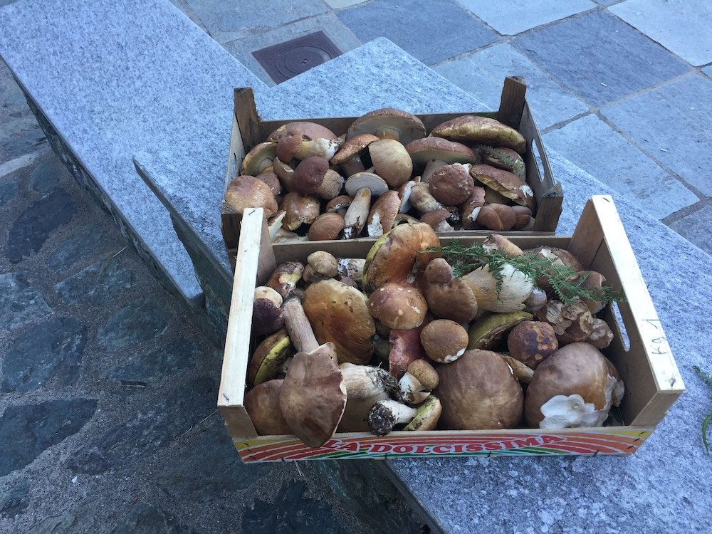 Osteria Gaute La Nata