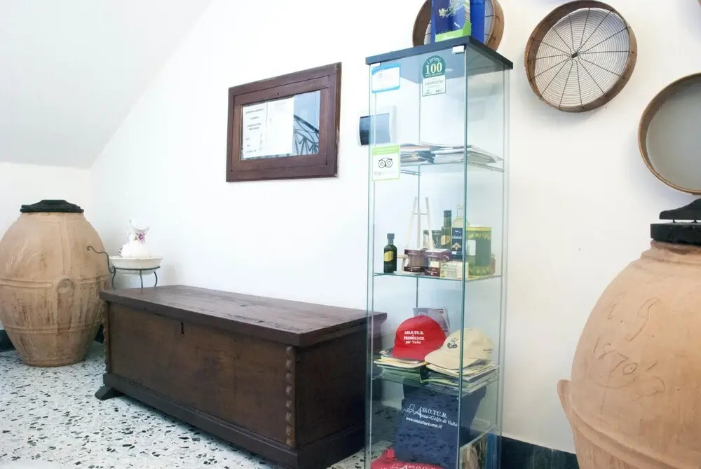 Apartment With 3 Bedrooms in Ceraso, With Wonderful Mountain View, Enclosed Garden and Wifi Near the Beach