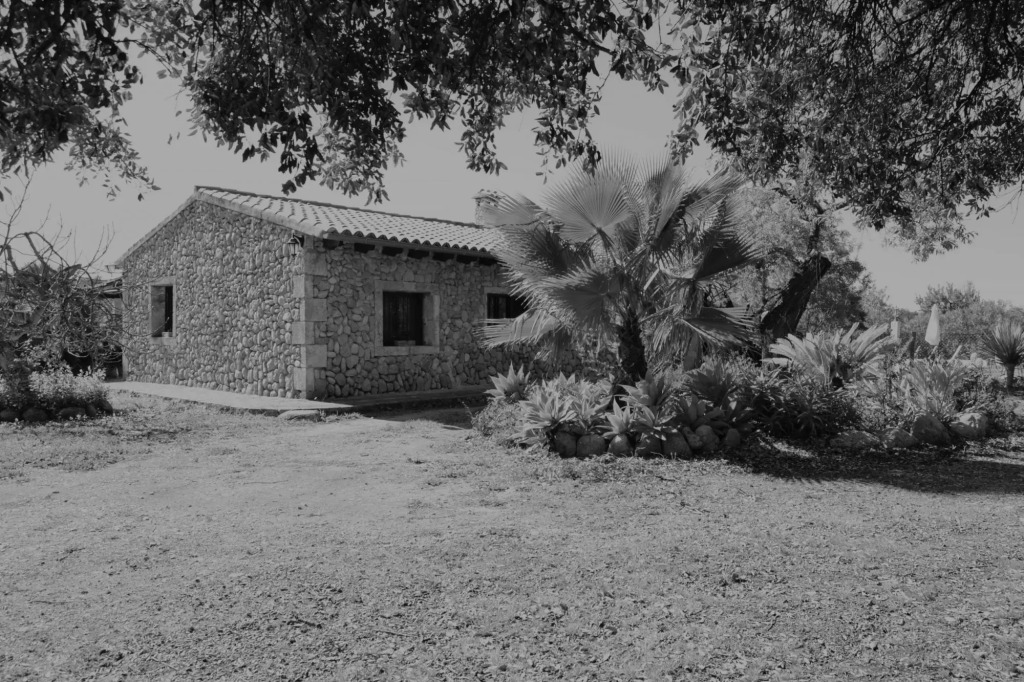 Sa Figuera Blanca Buger Finca 115