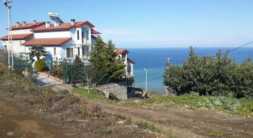 Sayın Villa