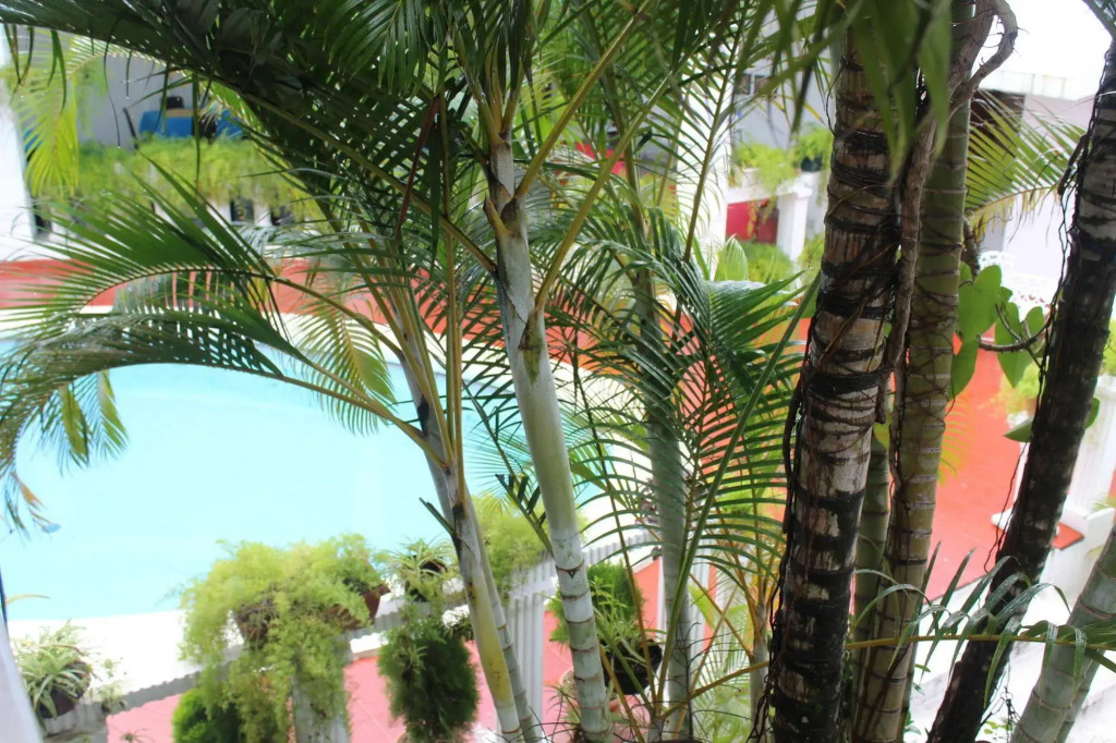 Hotel Grecia Real