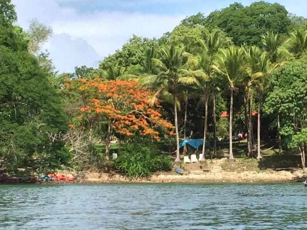 Bahia Rica Fishing & Kayak Lodge