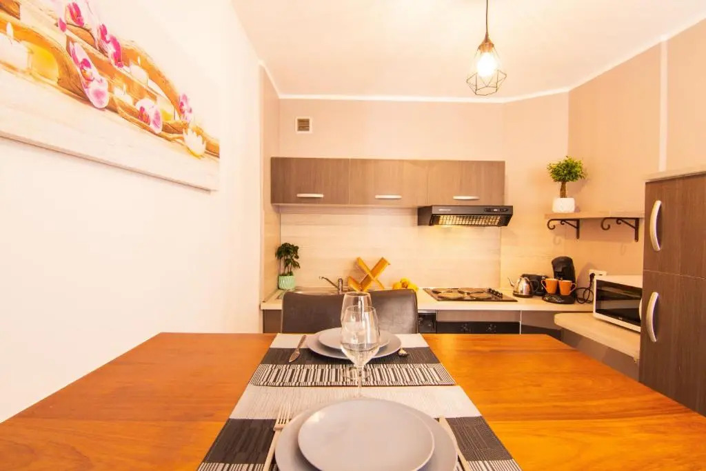 Appartement de charme, spacieux, Moustiers #5