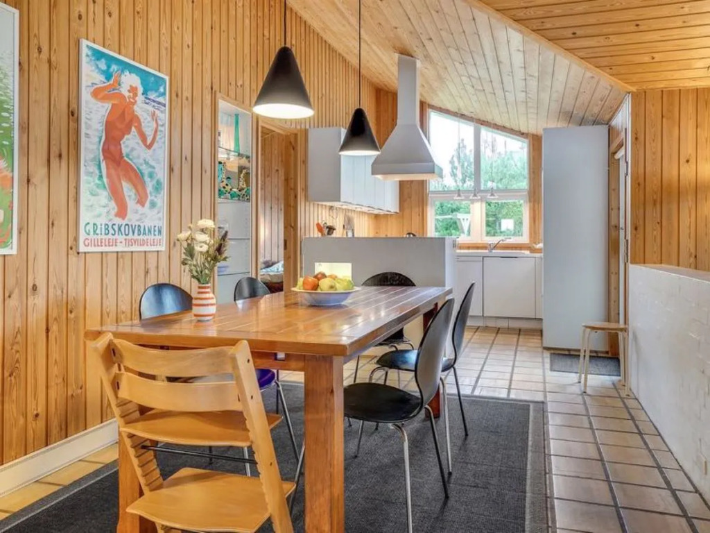 "Partenij" - 700m from the sea in NW Jutland